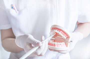 歯科矯正治療について