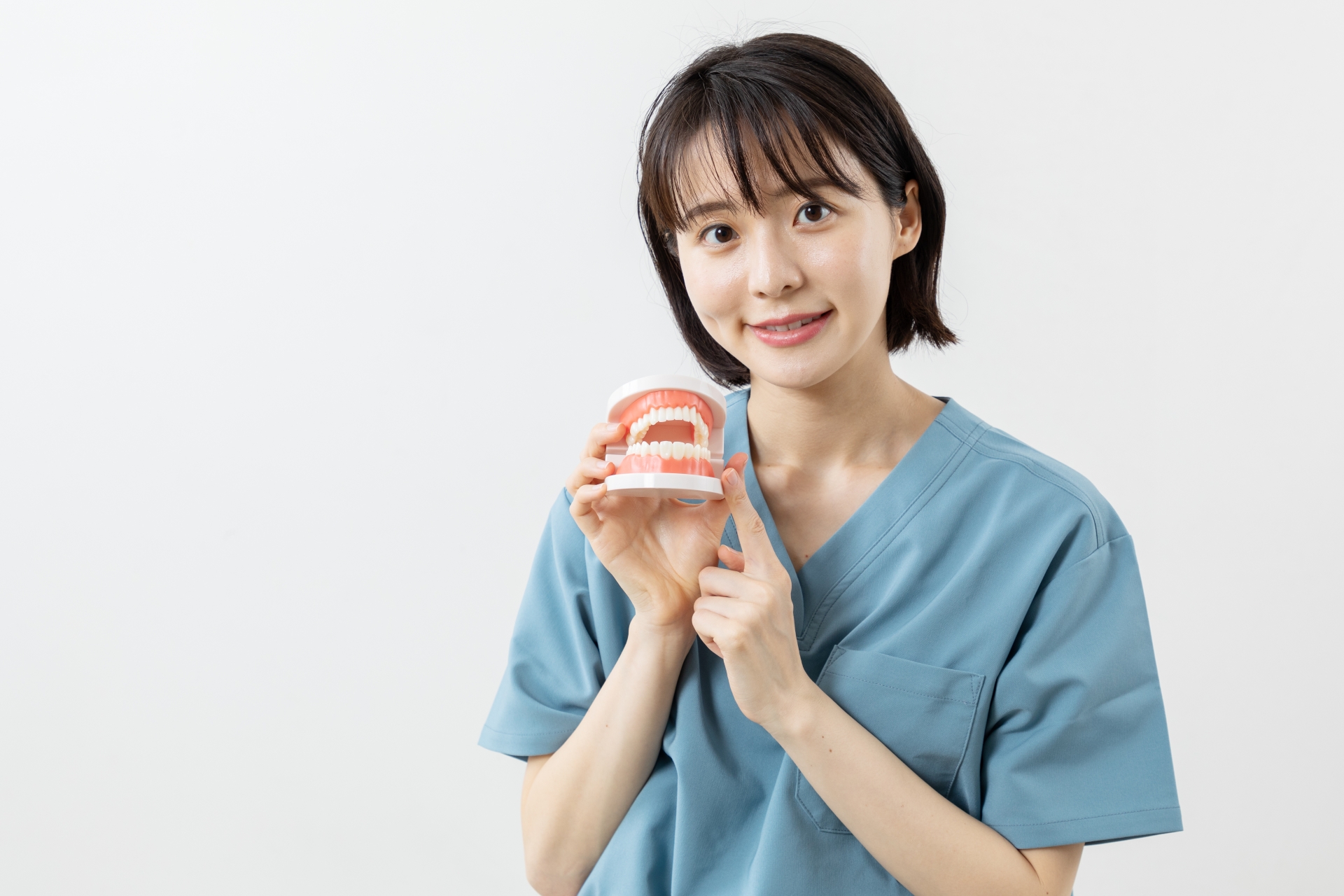 顎模型を使い説明する歯科医師
