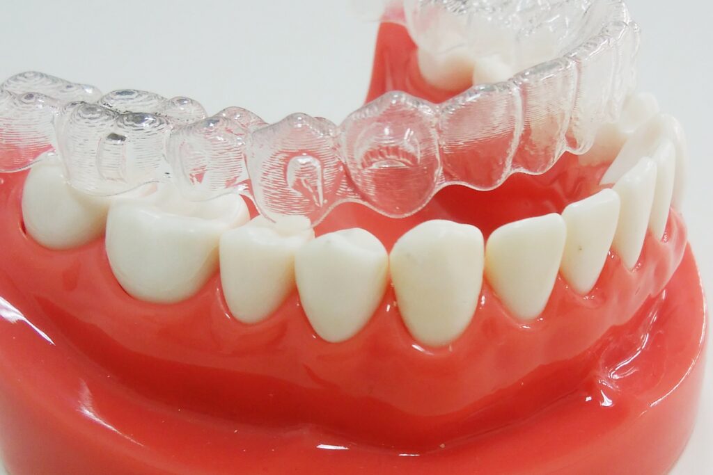 義歯と歯型